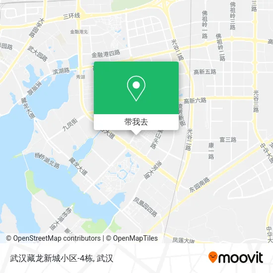 武汉藏龙新城小区-4栋地图