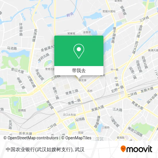 中国农业银行(武汉姑嫂树支行)地图