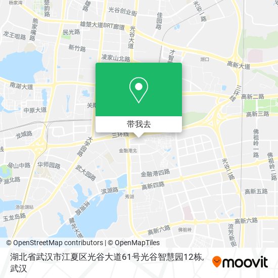 湖北省武汉市江夏区光谷大道61号光谷智慧园12栋地图