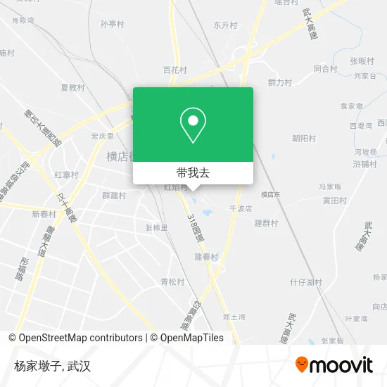杨家墩子地图
