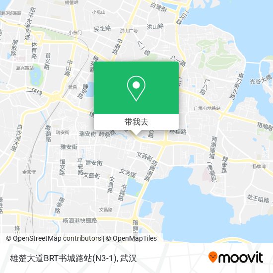 雄楚大道BRT书城路站(N3-1)地图