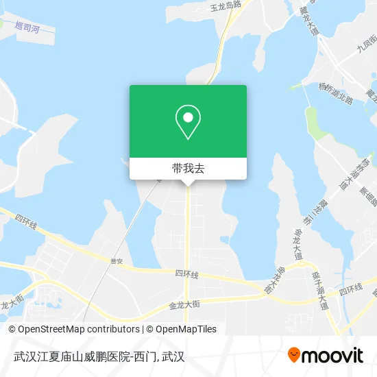武汉江夏庙山威鹏医院-西门地图