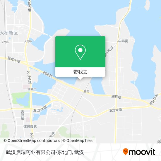 武汉启瑞药业有限公司-东北门地图