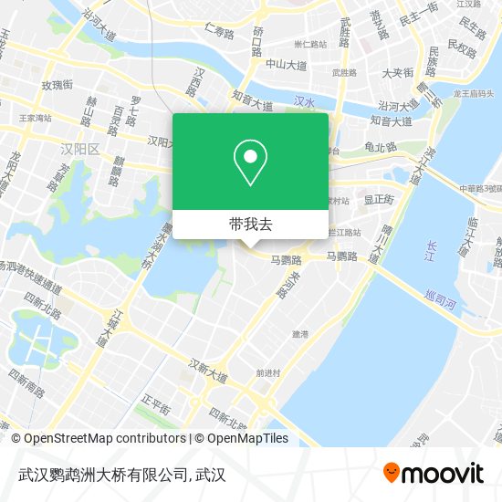 武汉鹦鹉洲大桥有限公司地图