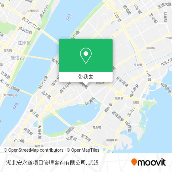 湖北安永道项目管理咨询有限公司地图