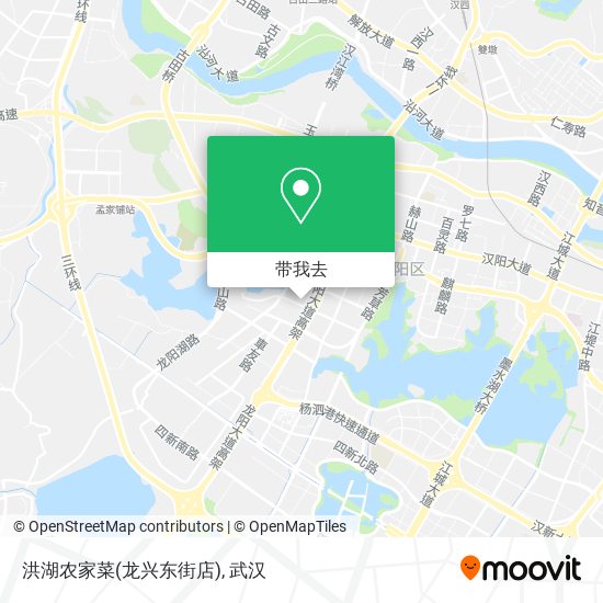 洪湖农家菜(龙兴东街店)地图