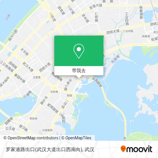 罗家港路出口(武汉大道出口西南向)地图