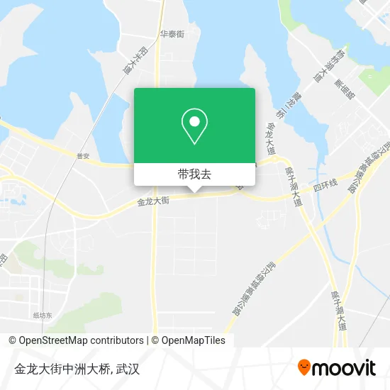 金龙大街中洲大桥地图