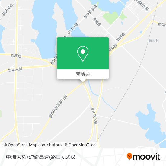 中洲大桥/沪渝高速(路口)地图
