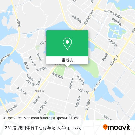261路(沌口体育中心停车场-大军山)地图