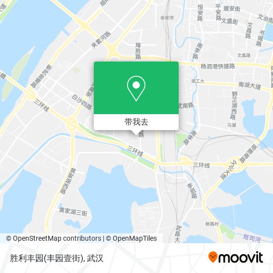 胜利丰园(丰园壹街)地图