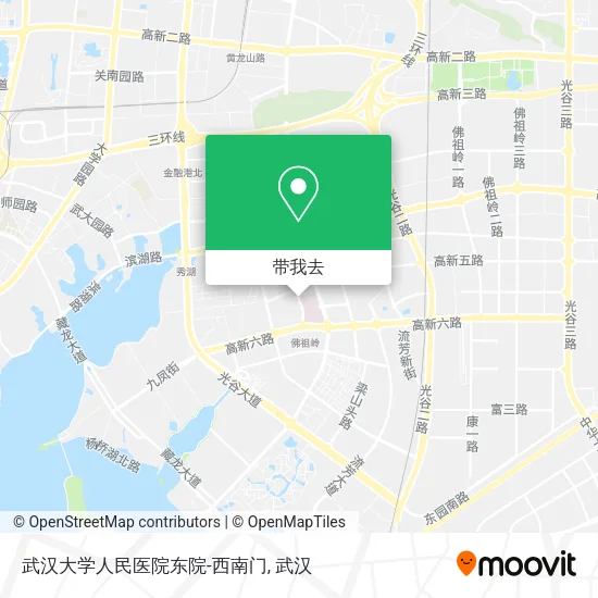 武汉大学人民医院东院-西南门地图