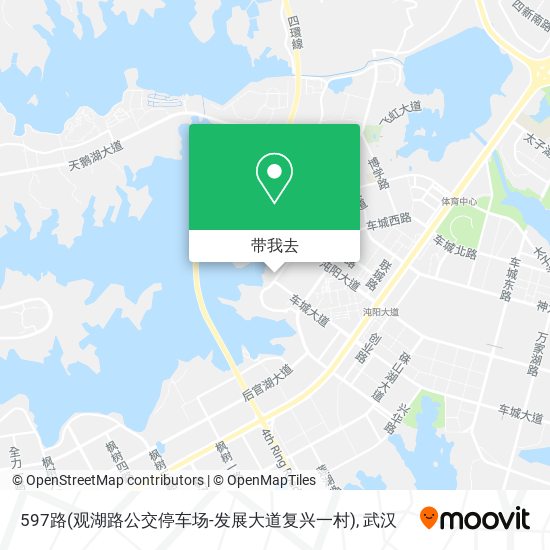 597路(观湖路公交停车场-发展大道复兴一村)地图