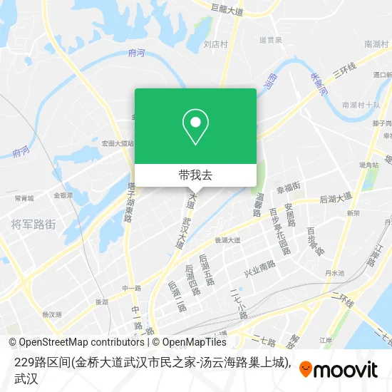 229路区间(金桥大道武汉市民之家-汤云海路巢上城)地图