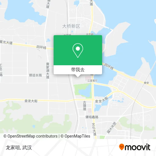 龙家咀地图