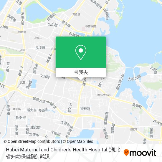 Hubei Maternal and Children's Health Hospital (湖北省妇幼保健院)地图