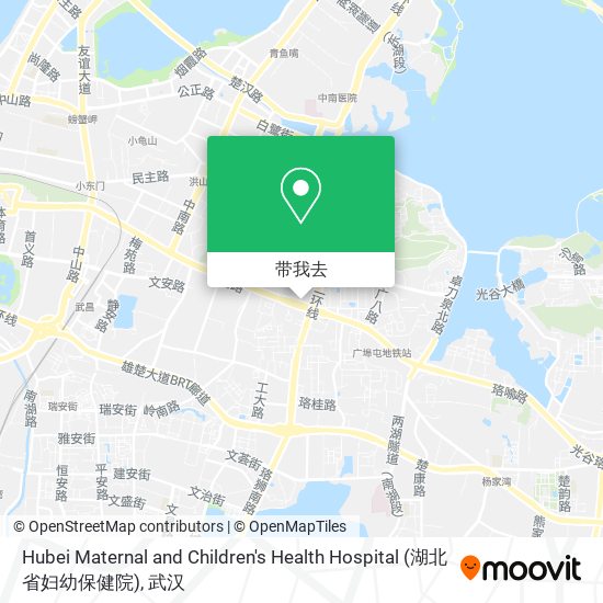 Hubei Maternal and Children's Health Hospital (湖北省妇幼保健院)地图