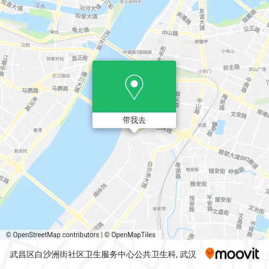 武昌区白沙洲街社区卫生服务中心公共卫生科地图