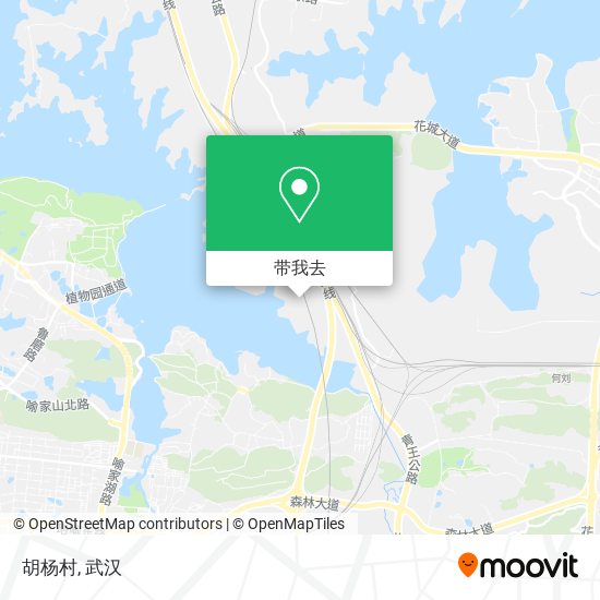 胡杨村地图
