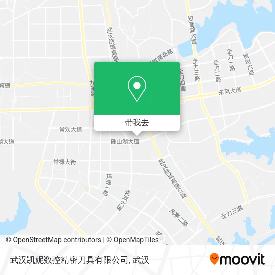 武汉凯妮数控精密刀具有限公司地图