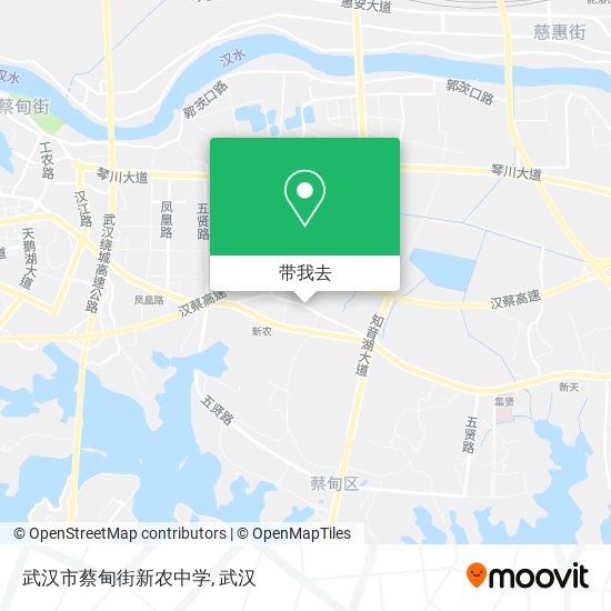 武汉市蔡甸街新农中学地图