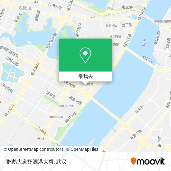 鹦鹉大道杨泗港大桥地图
