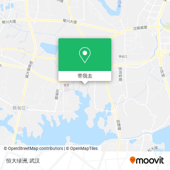 恒大绿洲地图