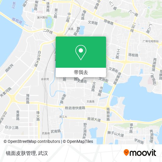 镜面皮肤管理地图