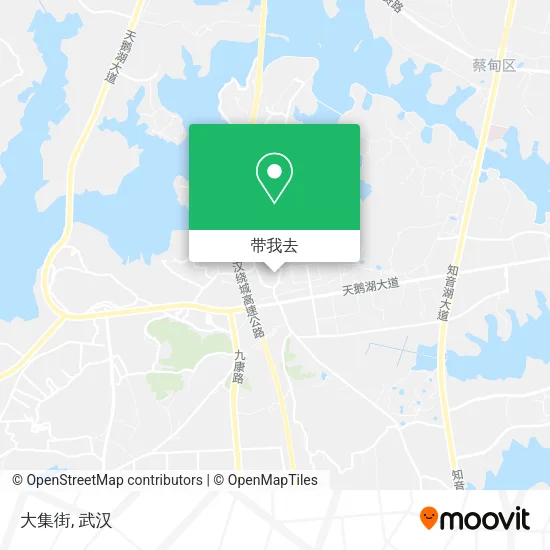 大集街地图