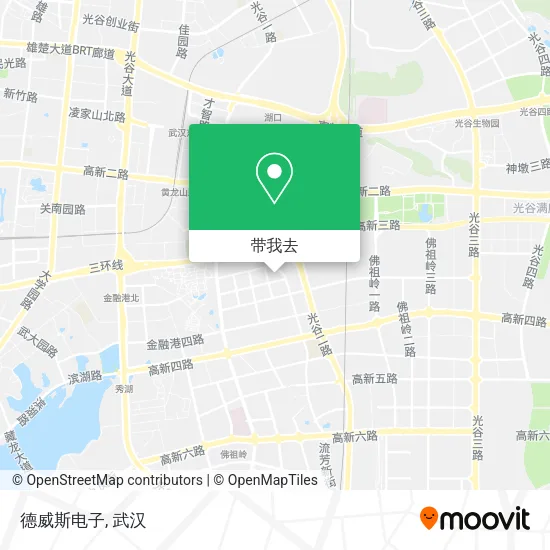 德威斯电子地图
