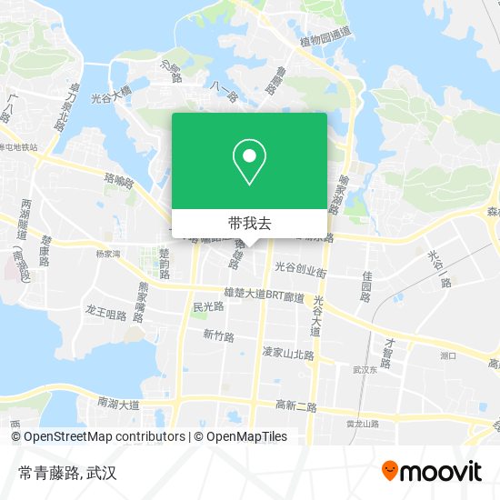 常青藤路地图