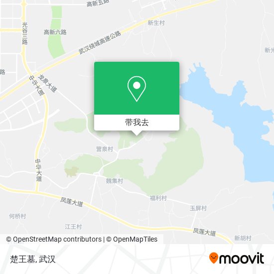 楚王墓地图