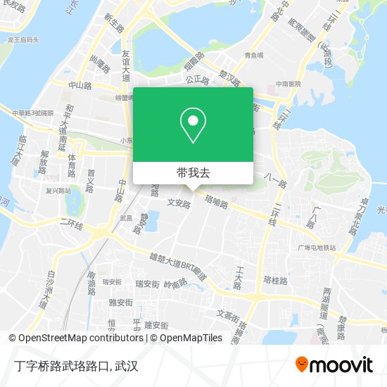 丁字桥路武珞路口地图