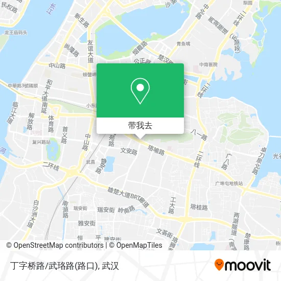 丁字桥路/武珞路(路口)地图