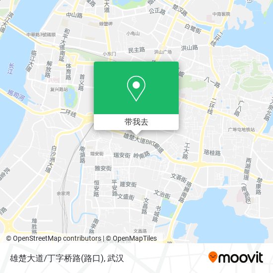 雄楚大道/丁字桥路(路口)地图