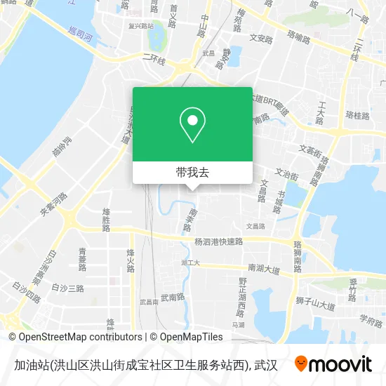 加油站(洪山区洪山街成宝社区卫生服务站西)地图