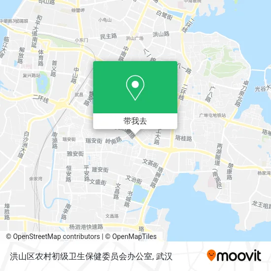 洪山区农村初级卫生保健委员会办公室地图