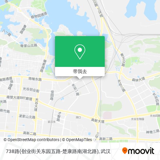 738路(创业街关东园五路-楚康路南湖北路)地图