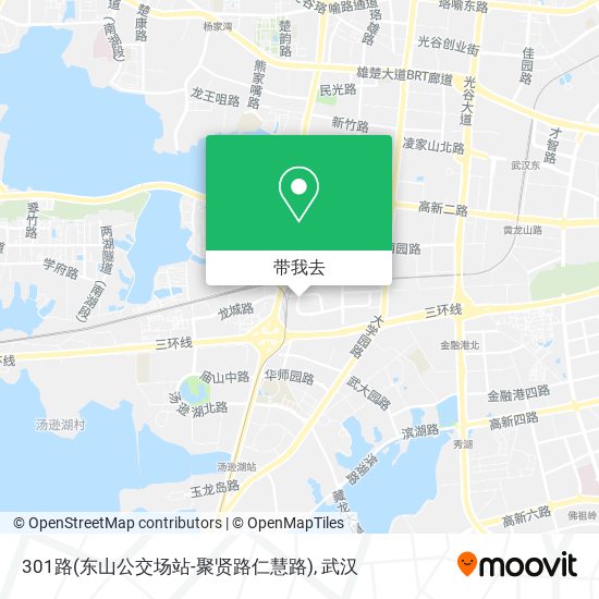 301路(东山公交场站-聚贤路仁慧路)地图