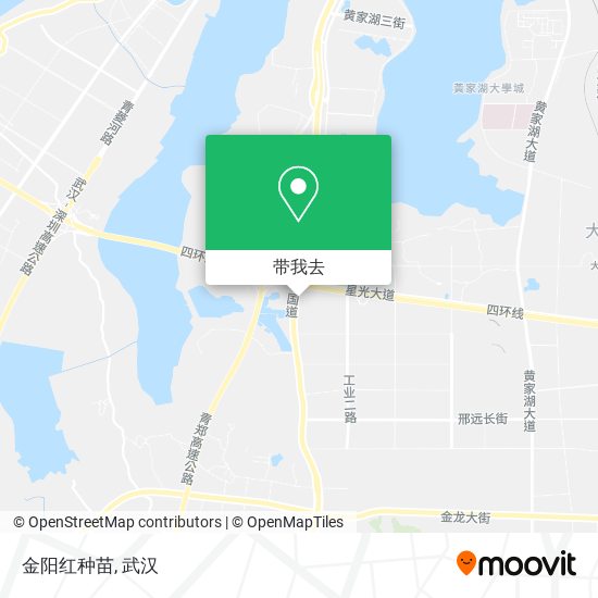 金阳红种苗地图