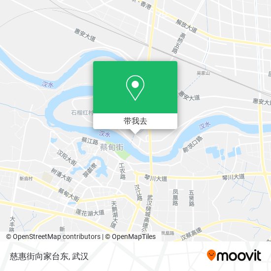 慈惠街向家台东地图