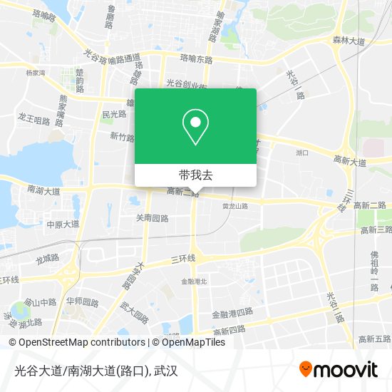 光谷大道/南湖大道(路口)地图