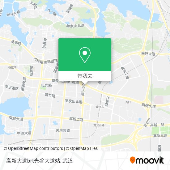 高新大道brt光谷大道站地图