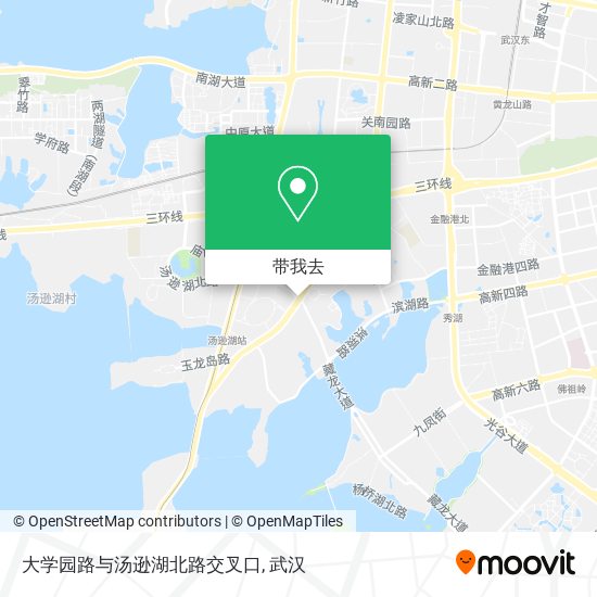 大学园路与汤逊湖北路交叉口地图