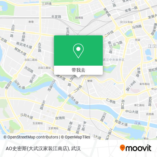 AO史密斯(大武汉家装江南店)地图