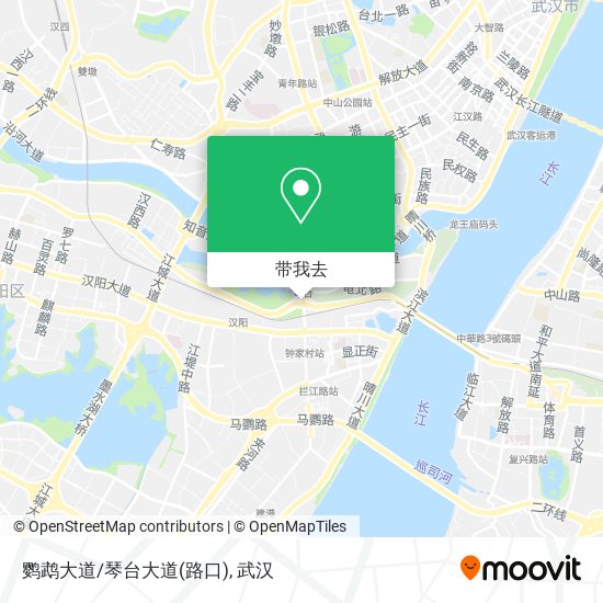 鹦鹉大道/琴台大道(路口)地图