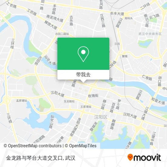 金龙路与琴台大道交叉口地图