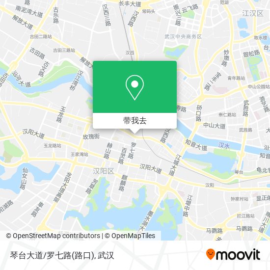 琴台大道/罗七路(路口)地图