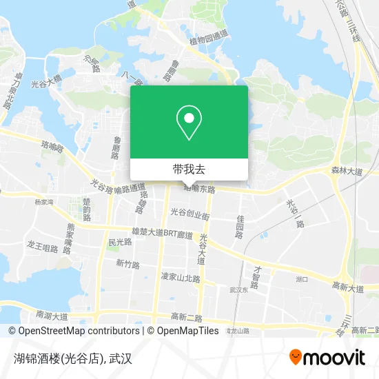 湖锦酒楼(光谷店)地图