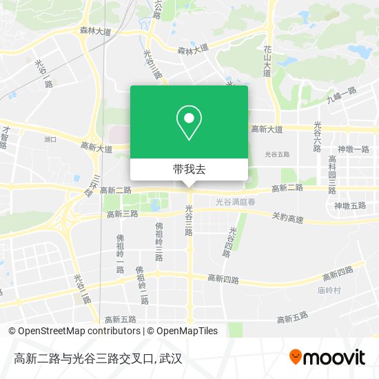 高新二路与光谷三路交叉口地图